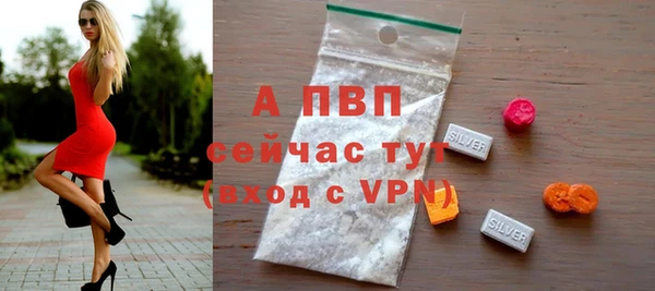 Альфа ПВП Белокуриха