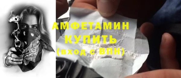 сатива Богданович