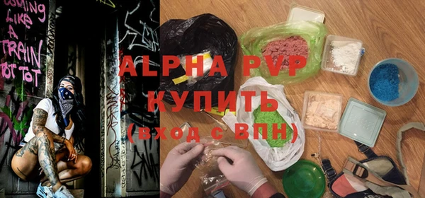 шишки Белоозёрский