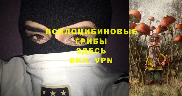 сатива Богданович