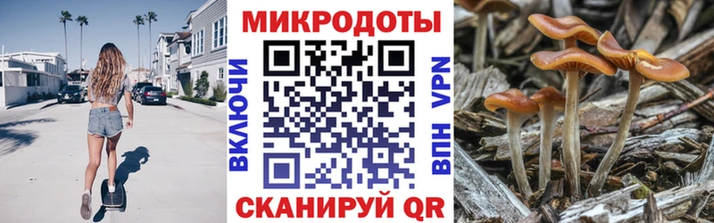 Галлюциногенные грибы Magic Shrooms  Мосальск 